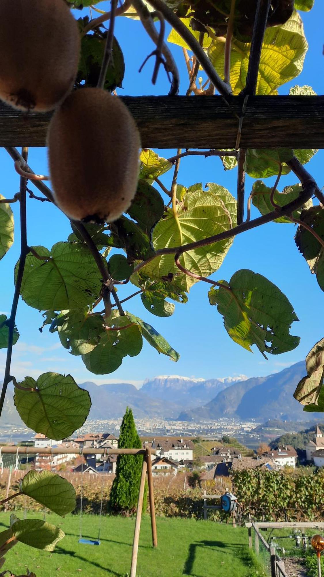 Apartmán Weinhof Kager Missiano Exteriér fotografie