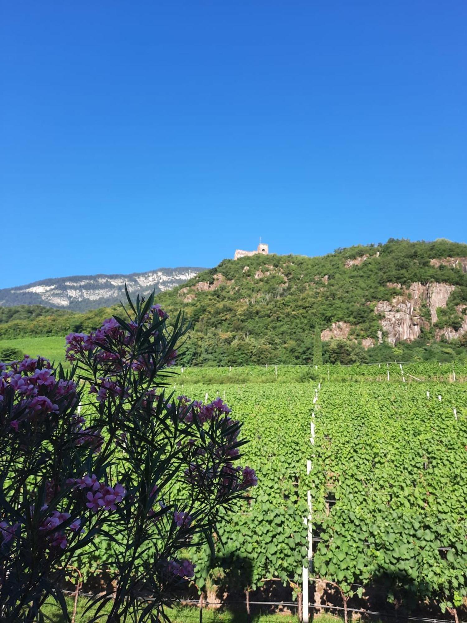 Apartmán Weinhof Kager Missiano Exteriér fotografie